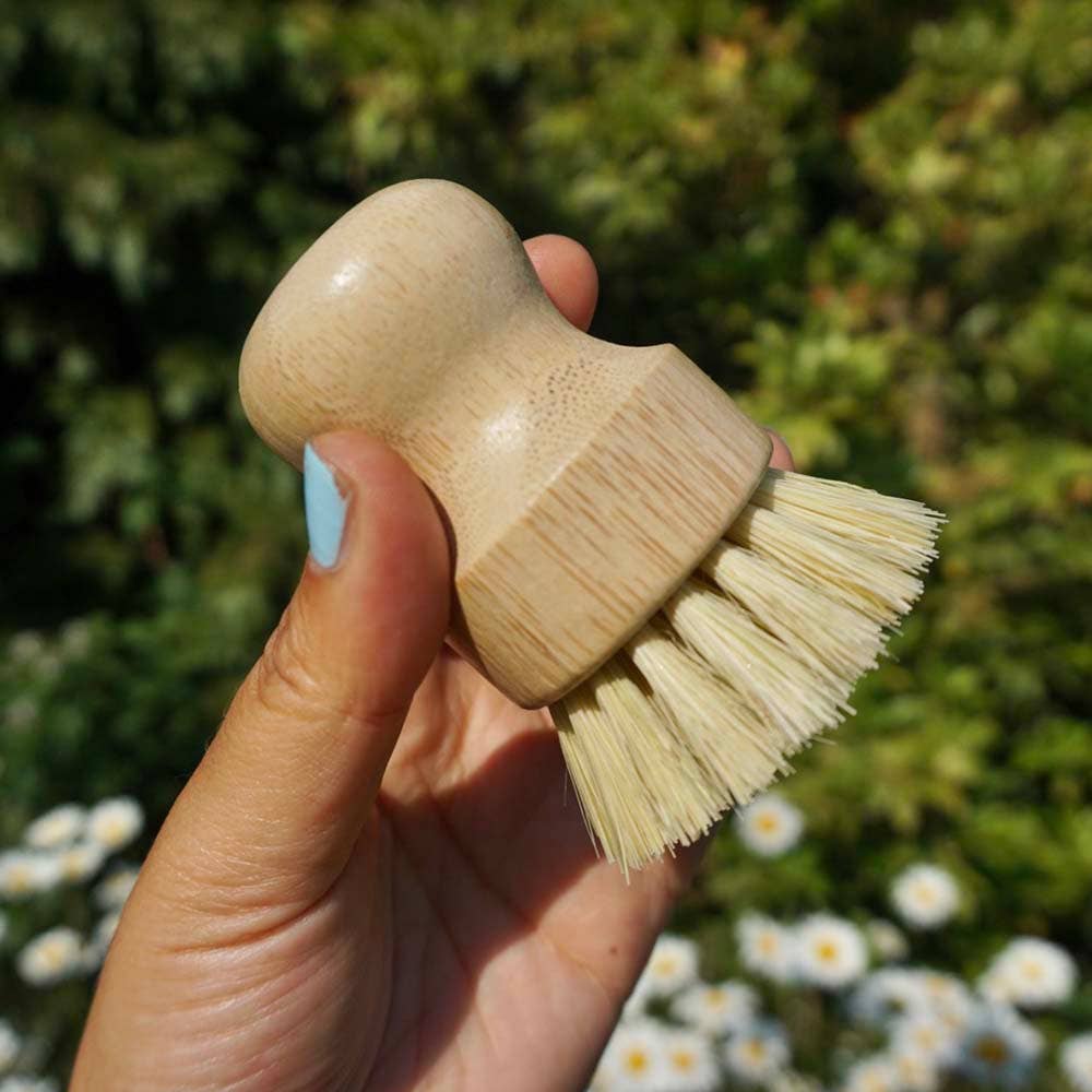 Pot Brush | Medium