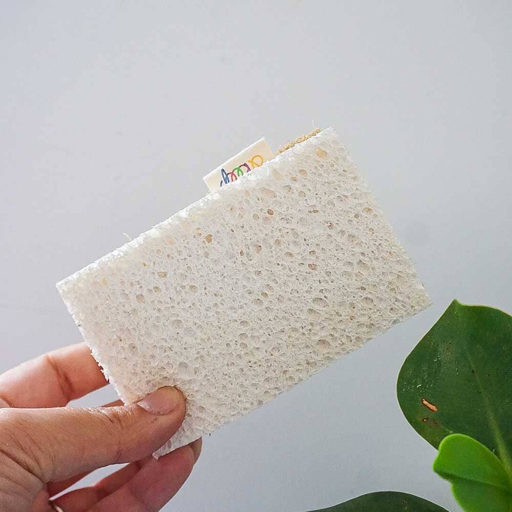 Scourer Sponge | Sisal & Cellulose