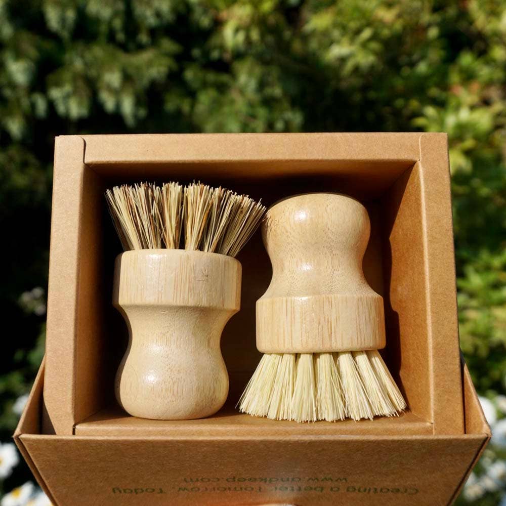 Pot Brush | Box of 2 | Medium & Stiff