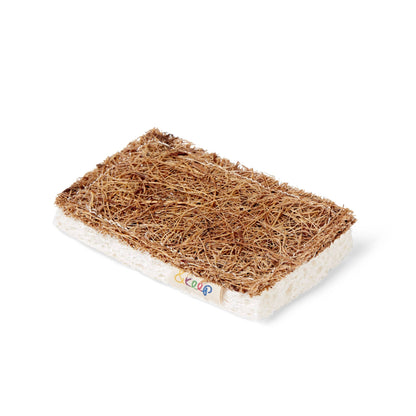 Scourer Sponge | Sisal & Cellulose