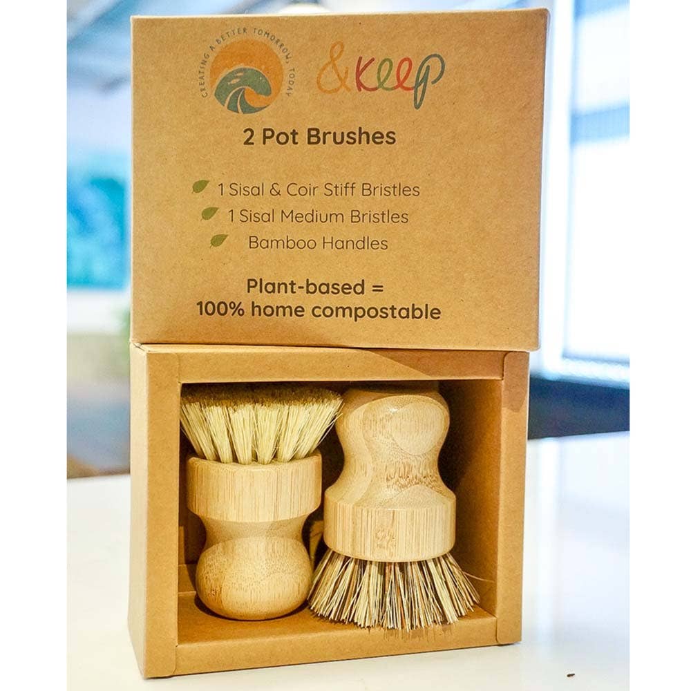 Pot Brush | Box of 2 | Medium & Stiff