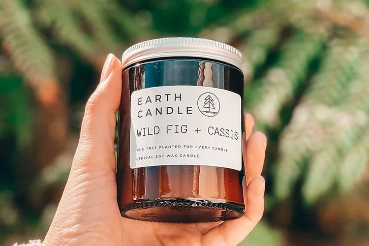 Candle | Soy Wax | Wild Fig + Cassis