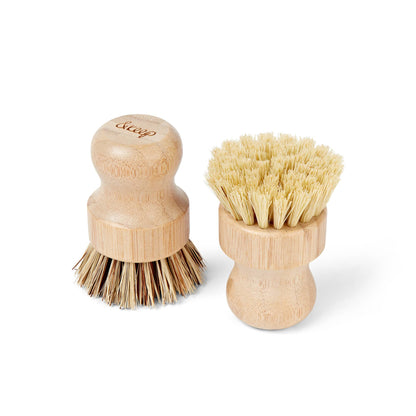 Pot Brush | Box of 2 | Medium & Stiff