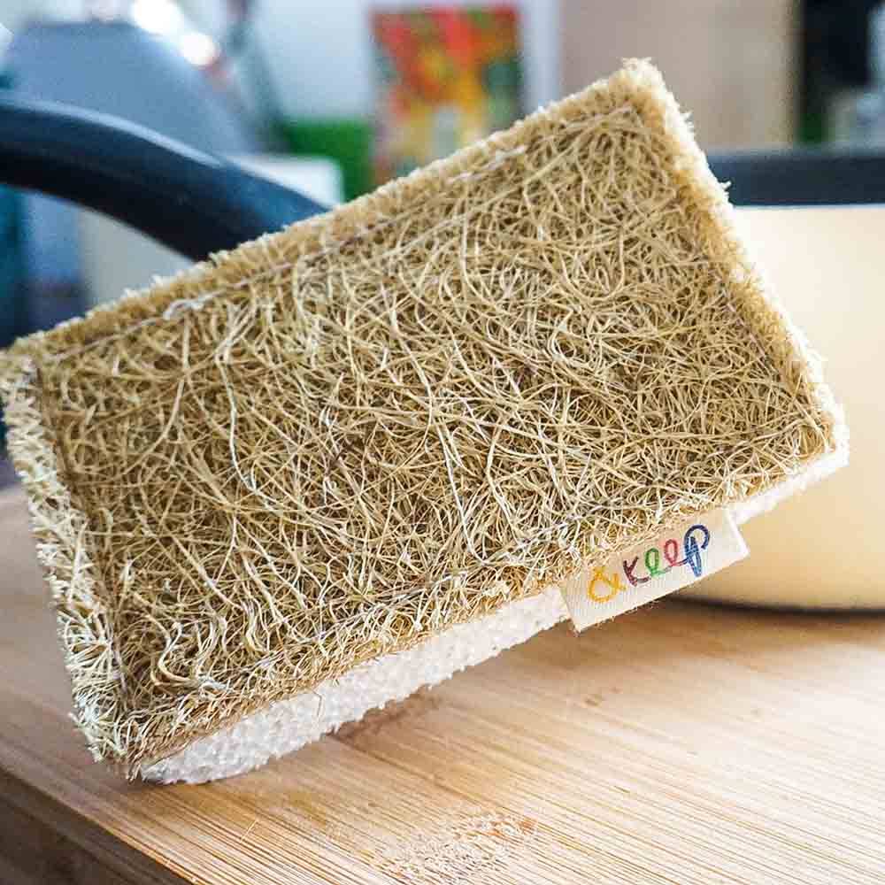 Scourer Sponge | Sisal & Cellulose